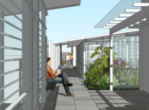 Enjoy the roof garden
